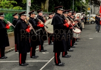 Limerick International Veterans Day Parade - ILL