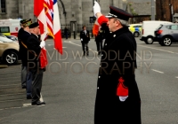 Limerick International Veterans Day Parade - ILL