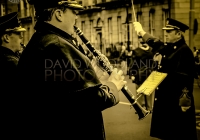 Limerick International Veterans Day Parade - ILL