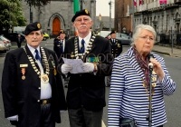 Limerick International Veterans Day Parade - ILL