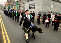 Limerick International Veterans Day Parade - ILL