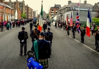 Limerick International Veterans Day Parade - ILL