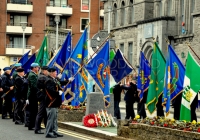 Limerick International Veterans Day Parade - ILL