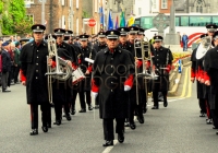 Limerick International Veterans Day Parade - ILL