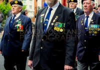 Limerick International Veterans Day Parade - ILL