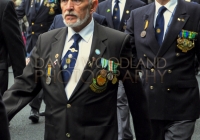 Limerick International Veterans Day Parade - ILL
