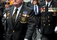 Limerick International Veterans Day Parade - ILL