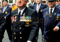 Limerick International Veterans Day Parade - ILL