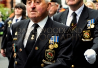 Limerick International Veterans Day Parade - ILL