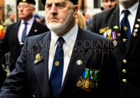 Limerick International Veterans Day Parade - ILL