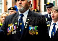 Limerick International Veterans Day Parade - ILL