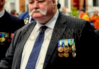 Limerick International Veterans Day Parade - ILL