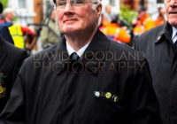 Limerick International Veterans Day Parade - ILL