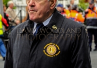 Limerick International Veterans Day Parade - ILL