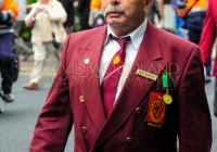 Limerick International Veterans Day Parade - ILL