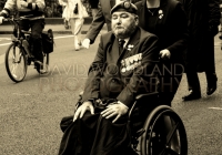 Limerick International Veterans Day Parade - ILL