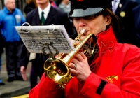 Limerick International Veterans Day Parade - ILL