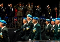 Limerick International Veterans Day Parade - ILL
