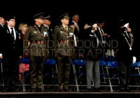 Limerick International Veterans Day Parade - ILL