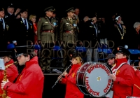 Limerick International Veterans Day Parade - ILL