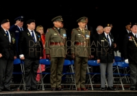 Limerick International Veterans Day Parade - ILL