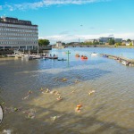 Limerick Island Swim took place Saturday, September 3rd and raised funds for the Children’s Grief Centre. Picture: Olena Oleksienko/ilovelimerick.