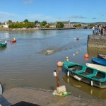 Limerick Island Swim took place Saturday, September 3rd and raised funds for the Children’s Grief Centre. Picture: Olena Oleksienko/ilovelimerick.