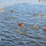 Limerick Island Swim took place Saturday, September 3rd and raised funds for the Children’s Grief Centre. Picture: Olena Oleksienko/ilovelimerick.