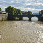 Limerick Island Swim took place Saturday, September 3rd and raised funds for the Children’s Grief Centre. Picture: Olena Oleksienko/ilovelimerick.