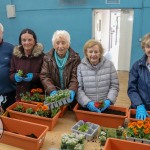 Limerick Lifelong Learning Festival 2022. Picture: Richard Lynch/ilovelimerick