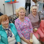 Limerick Lifelong Learning Festival 2022. Picture: Richard Lynch/ilovelimerick