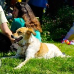 Limerick Pride Parade 2022. Picture: Kris Luszczki/ilovelimerick