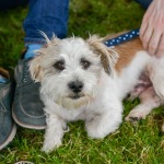 Limerick Pride Parade 2022. Picture: Olena Oleksienko/ilovelimerick