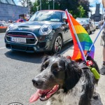 Limerick Pride Parade 2022. Picture: Olena Oleksienko/ilovelimerick