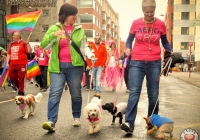 limerick-pride-parade-2013-album-1_53