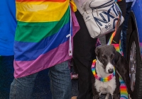 limerick-pride-parade-2013-album-4_114