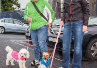 limerick-pride-parade-2013-album-4_122