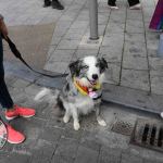 Limerick LGBT Pride Parade 2019 and Pridefest Party at Hunt Museum. Pictures: Orla McLaughlin 2019. All Rights Reserved.