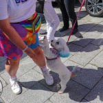 Limerick Pride Parade 2022. Picture: Ava O Donoghue/ilovelimerick