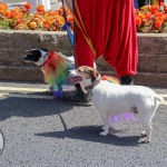 Limerick Pride Parade 2022. Picture: Ava O Donoghue/ilovelimerick
