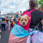 On Saturday, July 8, the Limerick Pride Parade 2023 brought some extra colour and music to Limerick city centre, followed by Pridefest in the gardens of the Hunt Museum. Picture: Olena Oleksienko/ilovelimerick