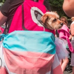 On Saturday, July 8, the Limerick Pride Parade 2023 brought some extra colour and music to Limerick city centre, followed by Pridefest in the gardens of the Hunt Museum. Picture: Cian Reinhardt/ilovelimerick