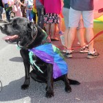 Limerick LGBT Pride Parade 2019. Pictures: Bruna Vaz Mattos.