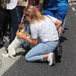 Limerick LGBT Pride Parade 2019. Pictures: Bruna Vaz Mattos.