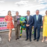 Limerick’s largest family  agricultural festival, the 92nd Limerick Show takes place on Sunday August 25th at Limerick Racecourse. Picture: 
Olena Oleksienko/ilovelimerick