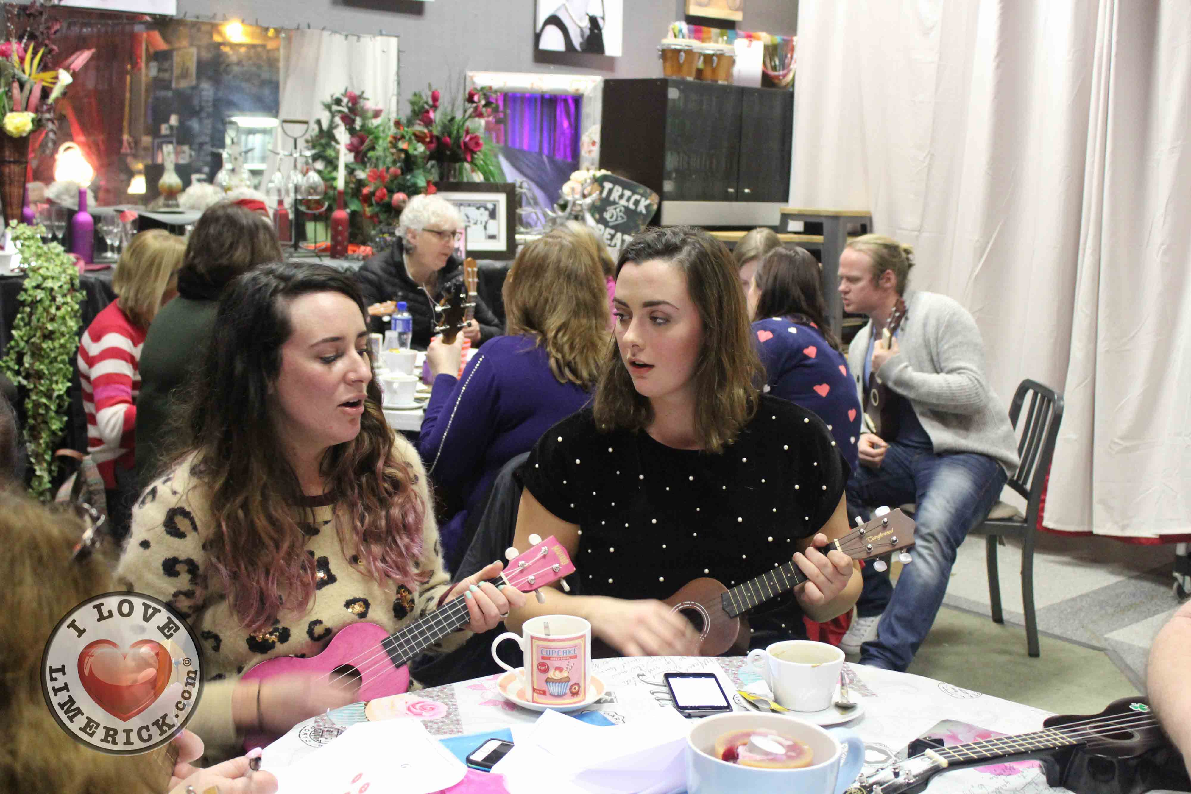 Limerick Ukulele Orchestra Takes Chez le Fab by Storm