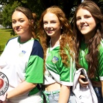 Limerick-V-Clare-Munster-Senior-Hurling-Championship-2025-Round-5-140