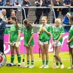 Limerick-V-Clare-Munster-Senior-Hurling-Championship-2025-Round-5-211