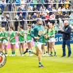 Limerick-V-Clare-Munster-Senior-Hurling-Championship-2025-Round-5-227