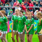 limerick-v-cork-munster-hurling-final-202592